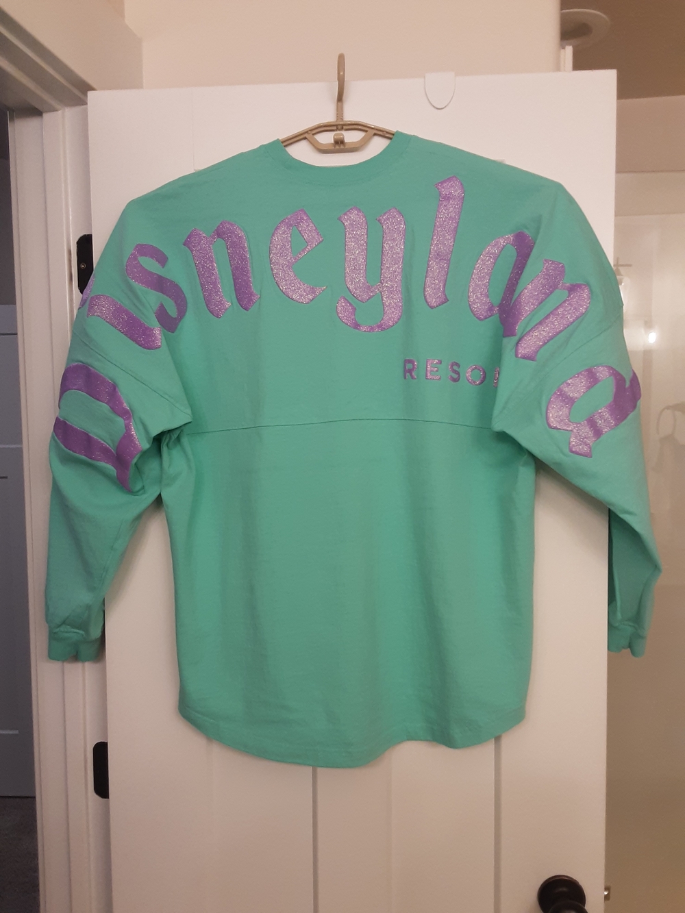 Disney Spirit Jersey Mint Green Long Sleeve Top with Purple Glitter Logo - Picture 1 of 2